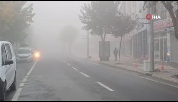 Düzce sis ile uyandı!