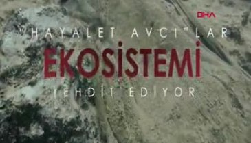 Temizlenen hayalet ağlar sayesinde 2 milyonu aşkın balığın ölümü engellendi