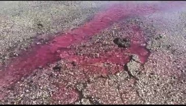 Bursa'da yerin altından kaynayan turşu suyu yolu göle çevirdi