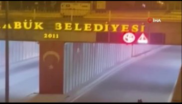 Karabük'te ayı yavrularıyla şehre indi