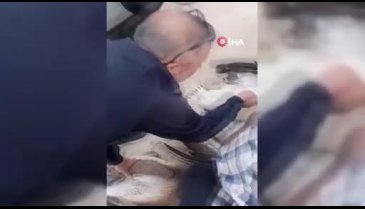 Mersin'de oltaya takılan pelikanların imdadına balıkçılar yetişti