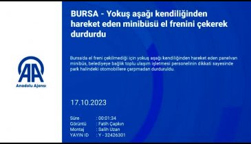 Bursa'da kamyonet sahipsiz kediyi ezdi, arkasına bakmadan gitti