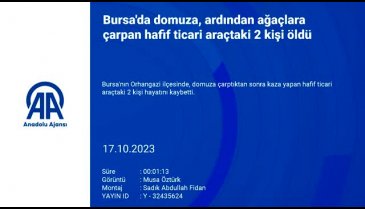 Bursa'da yola fırlayan domuza çarptı, zeytinliğe uçtu!