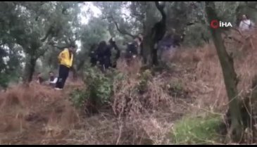 Bursa'da zeytinlikte cansız beden bulundu!