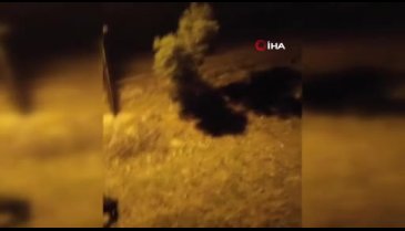 Bursa'da domuz sürüsü şehir merkezine indi!