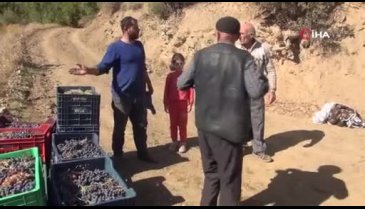 Bitlis'te üzüm pekmezinin üretimi devam ediyor