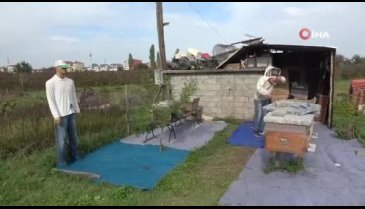 Samsun'da tabut, cansız manken ve varili arı kovanı olarak kullanıyor