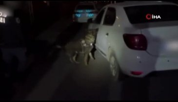 Kars'ta otomobilin alt muhafazasına saklanan uyuşturucu Daxo'ya takıldı