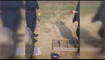 Bursa'da ağ, kafes ve ses sistemiyle saka kuşu avlayan kişiye para cezası kesildi