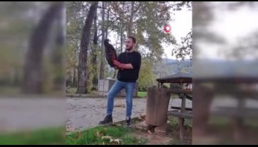 Bursa'da yaralı kartal tedavisinin ardından özgürlüğüne kavuştu