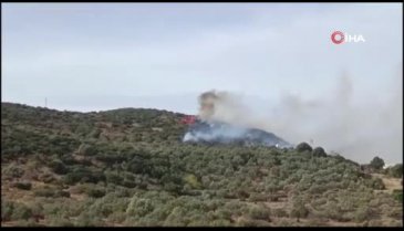İzmir'de orman yangını