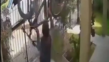 Jahrein hırsızı yakalayıp dövdü!