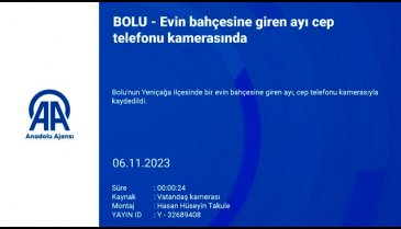 Bolu'da evin bahçesine ayı girdi! O anlar kamerada