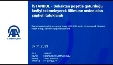 İstanbul'da poşete koyduğu kediyi tekmeleyerek öldüren şüpheli tutuklandı