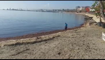 Şiddetli lodos kızıl yosun getirdi