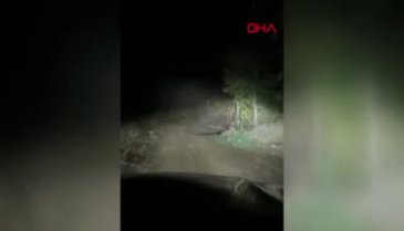 Bursa'da  otomobilin önüne çıkan yavru ile anne ayı görüntülendi