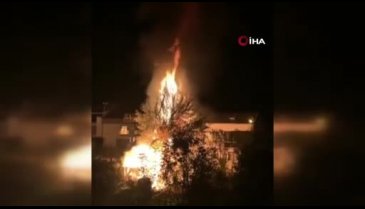 Bursa'da ağaçlık alanda çıkan yangın korku dolu anlar yaşattı