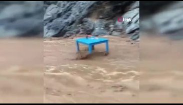 Muğla'da tatilciler korku dolu anlar yaşadı