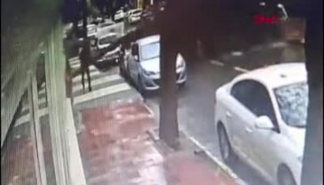 İstanbul'da çam ağacı, otomobilin üzerine devrildi