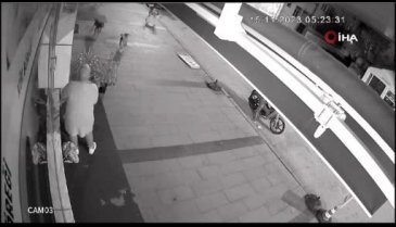 Sakarya'da dükkanı açan kadın dehşeti yaşadı!