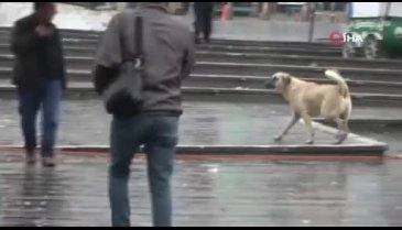 Bursa'da sağanak yağış etkili oldu, yarın kar geliyor
