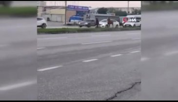 Bursa'da başı boş atlar yürekleri ağza getirdi