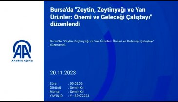 Bursa'da 'Zeytin, Zeytinyağı ve Yan Ürünler: Önemi ve Geleceği Çalıştayı' başladı