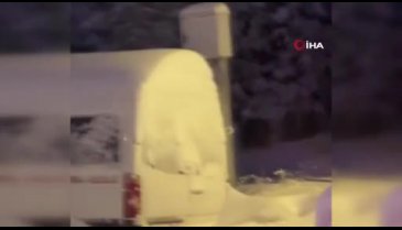 Uludağ'da kış uykusuna yatmakta geç kalan ayılar yemek aramaya çıktı