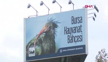 Bursa Hayvanat Bahçesi'nde kış uygulaması