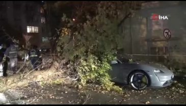 Ankara'da kırılan ağaç dalı lüks otomobilin üzerine düştü