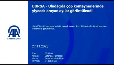 Uludağ'da çöp konteynerlerinde yiyecek arayan ayılar görüntülendi