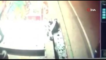 Bursa'da bıçakla çevreye zarar veren şahsı gençler etkisiz hale getirdi