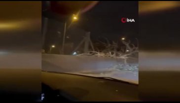 Bursa'da metro raylarına ağaç devrildi