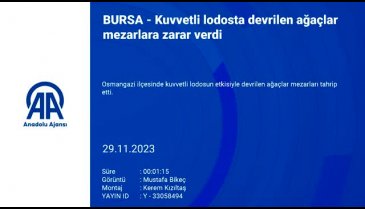 Bursa'da kuvvetli lodosta devrilen ağaçlar mezarlara zarar verdi
