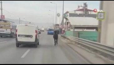 Bursa'da trafikte koşturan başıboş tay kamerada