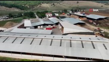 Bursa'da iki kardeş mühendisliği bırakıp çiftlik kurdu!