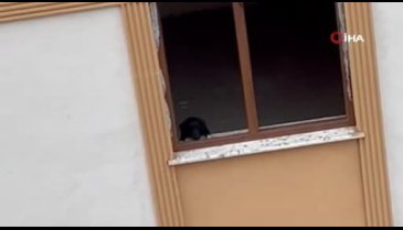 Düzce'de mahalleli savcılık kararı ile mühürlenen apartmanın yıkılmasını istiyor
