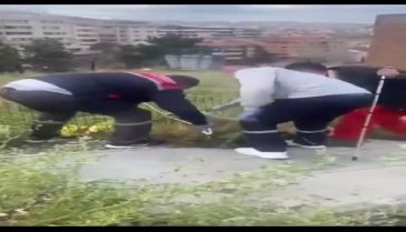 Ankara'da sokak köpeklerini toplayan ekibe tepki gösterdiler