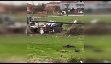 Tekirdağ'da köpeğine sopayla vurdu! Şüphelinin gerekçesi pes dedirtti