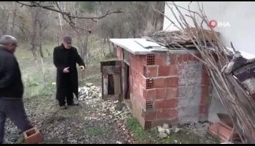 Kastamonu'da ayı, girdiği kümeste tavukları telef etti!
