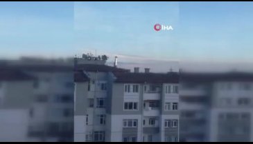 Ankara'da kuş sürüsünün görsel şöleni!