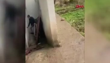 Kazan dairesinde mahsur kalan yaban keçisini binadakiler kurtardı!