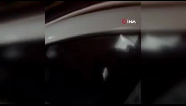 Narkotik köpeği Cash saklanan uyuşturucuyu buldu