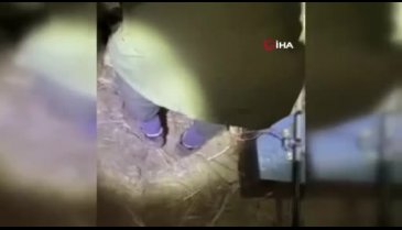 Konya'da elektroşok yöntemiyle tatlı su balığı avcılığı yapan 3 kişiye ceza!