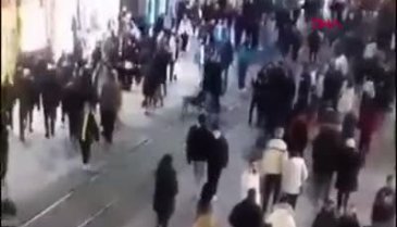 İstanbul'da yasaklı ırk köpeği ağızlıksız gezdiren kişiye 66 bin 798 lira ceza