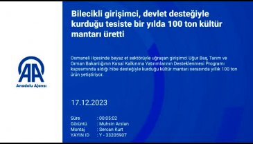 Bilecikli girişimci, bir yılda 100 ton kültür mantarı üretti!