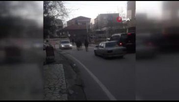 Bursa'da başıboş atlar sürücülere zor anlar yaşattı!