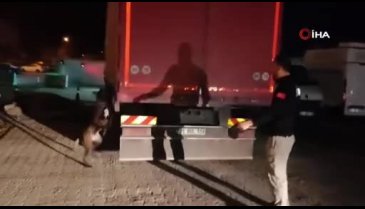 Adana'da 300 bin paket gümrük kaçağı sigara ele geçirildi
