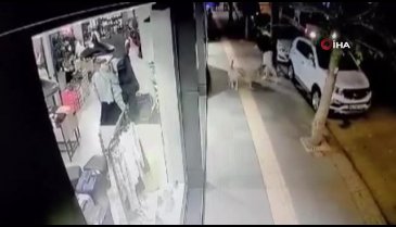 Ankara'da bir genç başıboş köpeğin saldırısına uğradı!