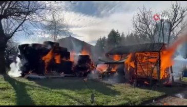 Sakarya'da bir samanlık alev topuna döndü!